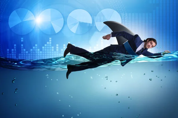 水で泳ぐサメのヒレを持ったビジネスマン — ストック写真
