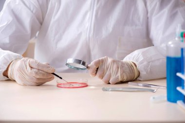 Laboratuvarda çalışan yakışıklı bir kimyager. 