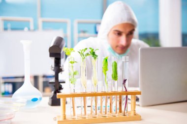 Laboratuarda çalışan erkek biyoteknoloji bilim adamı kimyacı