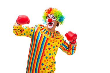 Beyaz izole erkek palyaço 