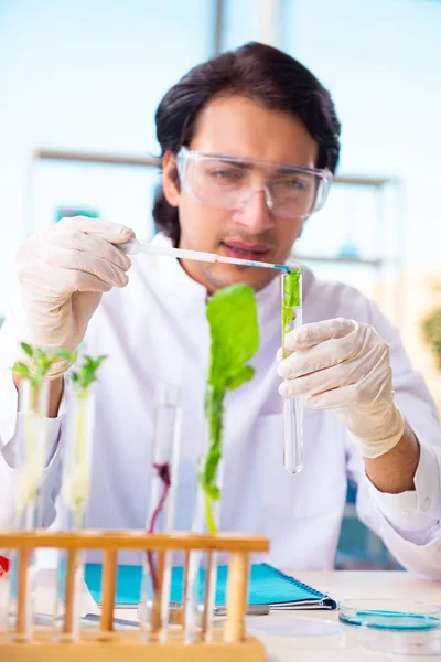 Hombre biotecnológico científico químico que trabaja en el laboratorio — Foto de Stock