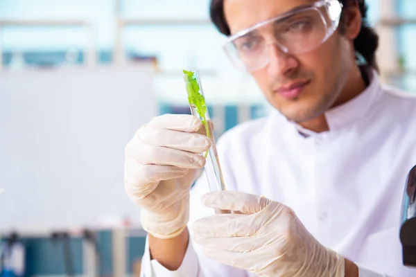 Hombre biotecnológico científico químico que trabaja en el laboratorio —  Fotos de Stock