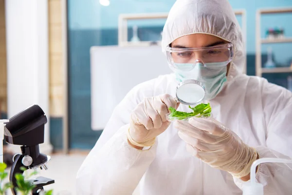 Männlicher Biotechnologie-Wissenschaftler Chemiker im Labor — Stockfoto