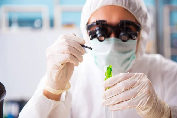 Manliga bioteknik vetenskapsman kemist arbetar i labbet — Stockfoto