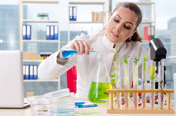 Química cientista biotecnológica do sexo feminino que trabalha no laboratório — Fotografia de Stock