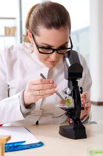 Química cientista biotecnológica do sexo feminino que trabalha no laboratório — Fotografia de Stock