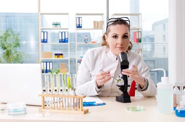 Química cientista biotecnológica do sexo feminino que trabalha no laboratório — Fotografia de Stock