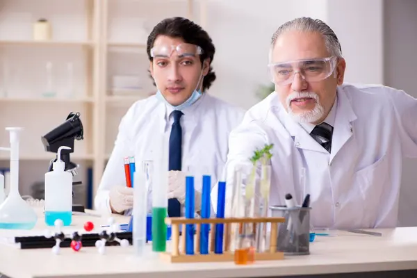 Два химика работают в лаборатории — стоковое фото