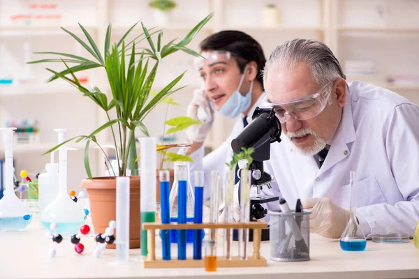 Dos químicos trabajando en el laboratorio —  Fotos de Stock