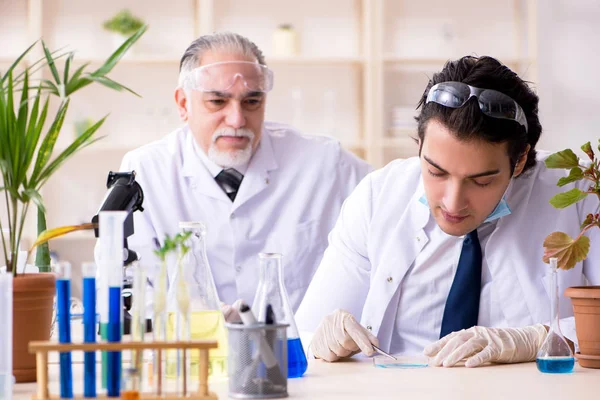 Dos químicos trabajando en el laboratorio —  Fotos de Stock