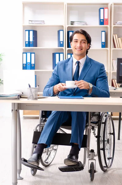 Empregado masculino em cadeira de rodas trabalhando no escritório — Fotografia de Stock