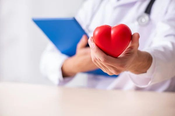 Αρσενικό ο γιατρός καρδιολόγος κρατώντας μοντέλο καρδιά — Φωτογραφία Αρχείου
