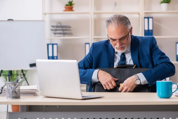 Dipendente di sesso maschile anziano che lavora in ufficio — Foto Stock