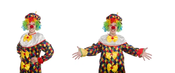 Clown isoliert auf weißem Hintergrund — Stockfoto