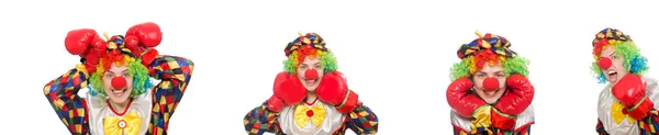 Clown mit Boxhandschuhen isoliert auf weiß — Stockfoto