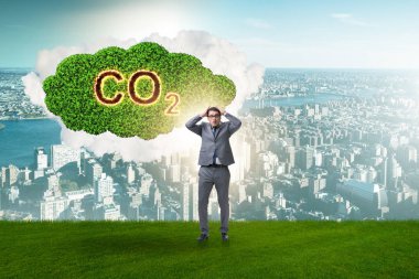 Sera gazı emisyonlarının ekolojik kavram