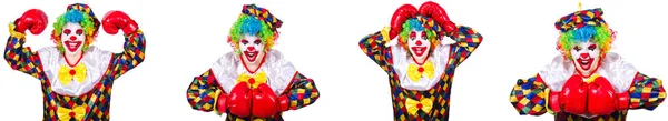 Grappige mannelijke clown met bokshandschoenen — Stockfoto