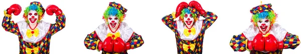 Zabawny clown mężczyzna z rękawice bokserskie — Zdjęcie stockowe