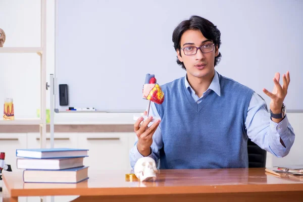 Young lecturer teacher teaching anatomy — Stock Photo, Image