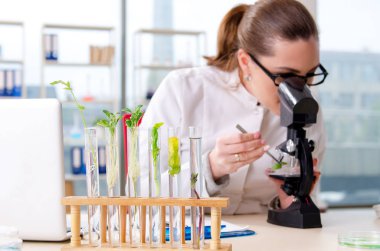 Laboratuarda çalışan kadın biyoteknoloji bilim adamı kimyacı 