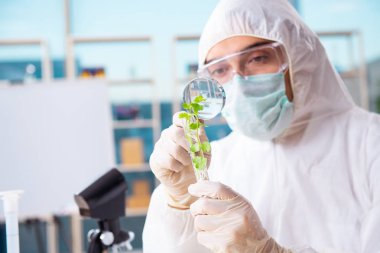 Laboratuarda çalışan erkek biyoteknoloji bilim adamı kimyacı