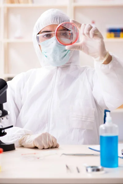 Jonge knappe chemicus die in het lab werkt — Stockfoto