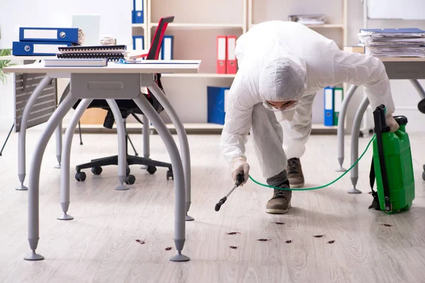 Professionele aannemer doen ongediertebestrijding op kantoor — Stockfoto