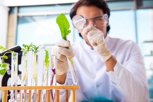 Biotecnologia maschile scienziato chimico che lavora in laboratorio — Foto Stock