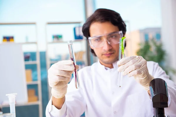 Biotecnologia maschile scienziato chimico che lavora in laboratorio — Foto Stock