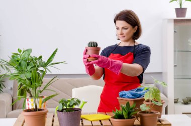 Bitkiler kapalı kadın bahçıvanla 