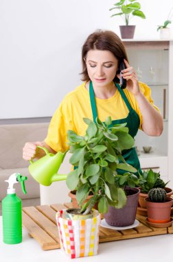 Bitkiler kapalı kadın bahçıvanla 