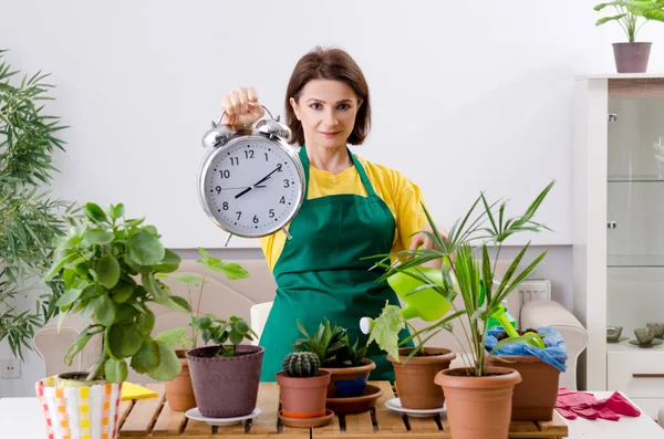Giardiniere femminile con piante al chiuso — Foto Stock