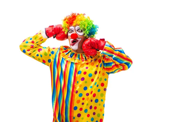 Clown maschio isolato su bianco — Foto Stock