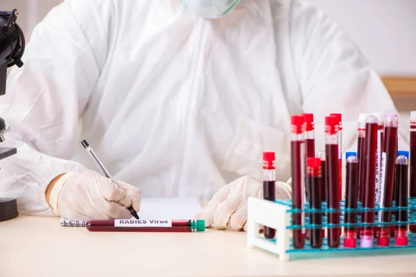 Asistente de laboratorio joven guapo analizando muestras de sangre en el hospital — Foto de Stock