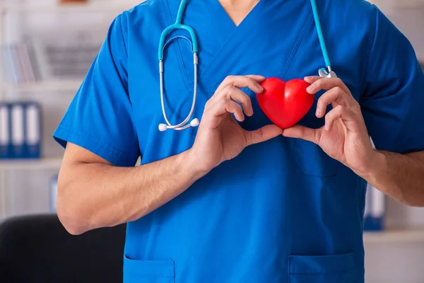 Male doctor cardiologist holding heart model — Stock Photo, Image