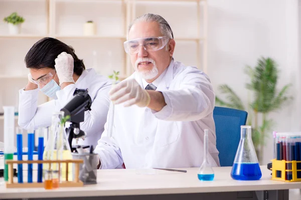 Dwóch chemików pracujących w laboratorium. — Zdjęcie stockowe