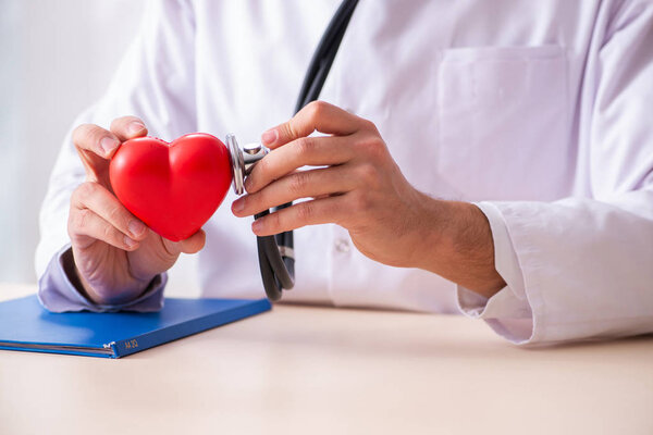 Male doctor cardiologist holding heart model 