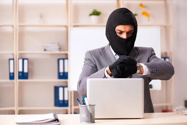 Male gangster stealing information from the office — Stock Photo, Image