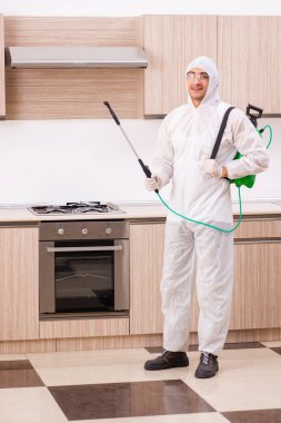 Profesyonel yüklenici mutfak at haşere kontrolü yapıyor