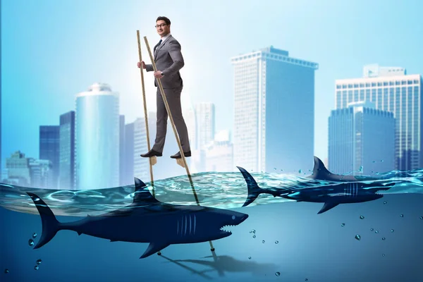 Бізнесмен ходить по палях серед акул — стокове фото