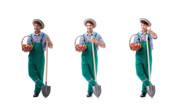 Jovem agricultor isolado no fundo branco — Fotografia de Stock