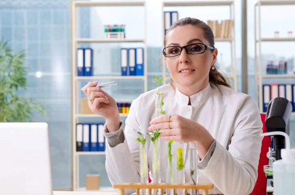 Biotechnologia kobieta naukowiec chemik pracuje w laboratorium — Zdjęcie stockowe