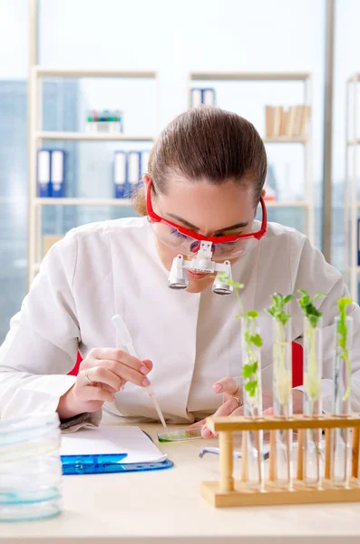 Female biotechnology scientist chemist working in the lab — Stock Photo, Image