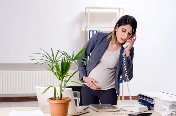 Young pregnant employee working in the office — Stock Photo, Image