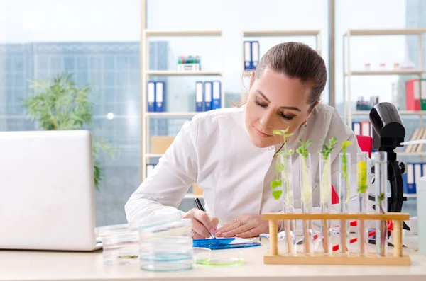 Női biotechnológia tudós kémikus dolgozik a lab — Stock Fotó