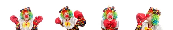 Clown mit Boxhandschuhen isoliert auf weiß — Stockfoto