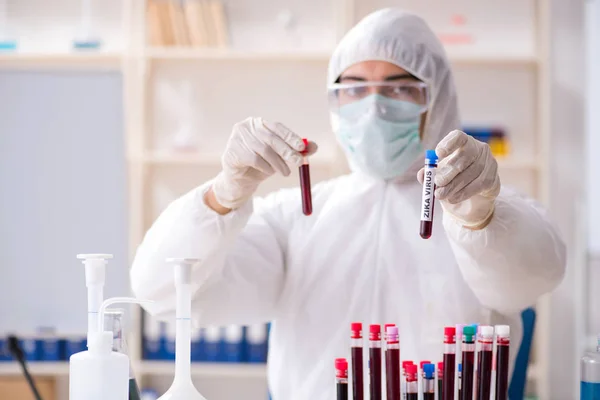 Jovem e bonito químico que trabalha no laboratório — Fotografia de Stock