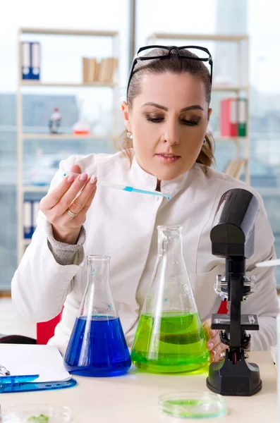 Química cientista biotecnológica do sexo feminino que trabalha no laboratório — Fotografia de Stock