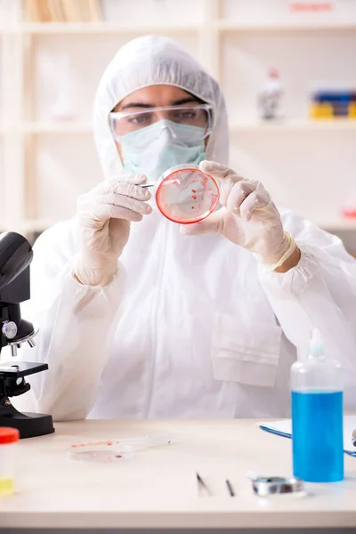 Jonge knappe chemicus die in het lab werkt — Stockfoto