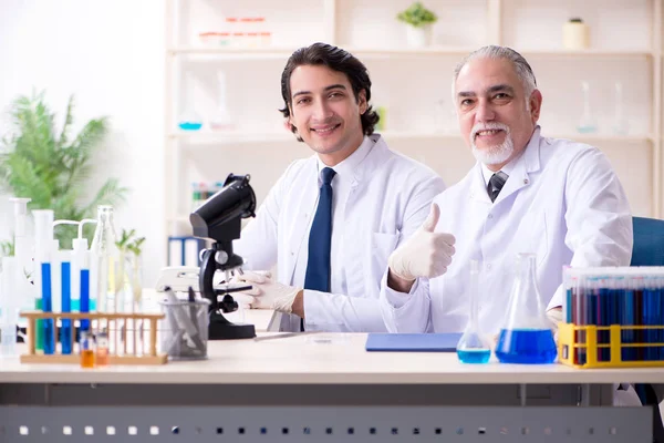 Dwóch chemików pracujących w laboratorium. — Zdjęcie stockowe